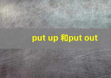 put up 和put out